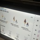 아이스크림백화점 | 전주 롯데백화점 파스퇴르 아이스크림 🍦 후기