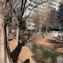 초이스퀸 이미지