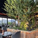 알토호텔 | [약수역 맛집] 분위기 좋은 식당 "파티오 알토" 방문 후기