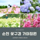 오작교농장 | 전남 순천 가야정원 농장 수국 낮달맞이 꽃구경 가볼만한곳