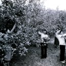 길주농장 이미지