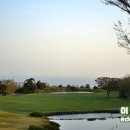 그린필드 | 제주도 골프장 부킹 언제든 좋은 제주 그린필드cc 예약 후기
