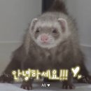 용식농장 이미지