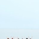 동해다방 이미지