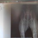 효원동물병원 이미지