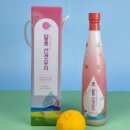 수피랑벼리랑 이미지