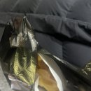 신월동 화곡동 신영시장 간식 추천 붕어빵 잉어빵 맛집 위치 가격 내돈내산
