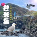 선암주유소 | 2021 울릉도여행 : 거닐기 좋은 관음도, 추천!