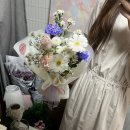 보라자판기 이미지