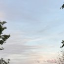 우니메이카 포천점 이미지