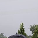 카페서천담 이미지