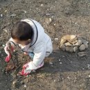 자매농장 이미지