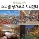 싱가포르 호텔 소피텔 싱가포르 시티센터 럭셔리 클럽룸 수영장 피트니스 센터 후기