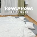 블리스힐 유스호스텔 | 용평 리조트 타워콘도 18평 온돌 숙박 후기 내돈내산 숙소 추천