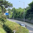 능허대로 이미지