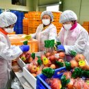 장성수퍼 이미지