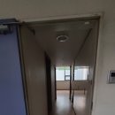 샤인벨리 이미지