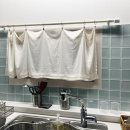 톨랑톨랑 이미지