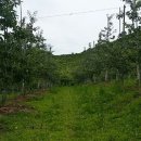 가경농장 이미지