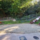 탑골생태공원 화장실 이미지