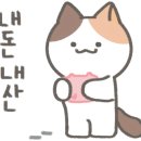 스시솔 이미지