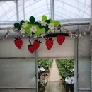 상남농장 이미지