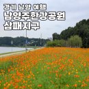 좌천지구 어린이공원 | 남양주 가볼만한곳 남양주한강공원 삼패지구 황화 코스모스 자작나무 명소