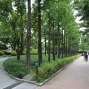 도시숲 산책길 이미지