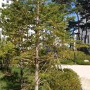 자경농장 이미지