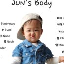 셀렉와이드