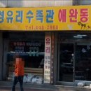 거성유리 수족관 이미지