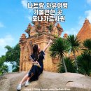 나트랑 자유여행 포나가르사원 후기
