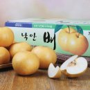 로23 앞 이미지