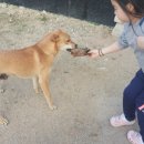 은지농장 이미지