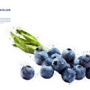 브레인생활건강 이미지