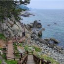 영덕 블루로드B, 해파랑21코스 이미지