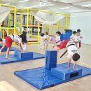 경희대솔밭태권도 이미지