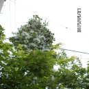 동호농장 이미지