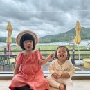 [육아] 카페노랑 아이와 함께 솔직 후기