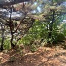 연수둘레길 | 인천 연수구 청량산/인천둘레길 가벼운 등산 후기! 이름값 제대로 하는 산