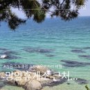 덕신리체육시설 | 울진 여행 망양휴게소 뒤쪽 바다 숨은 스노클링 스팟, 사람 적고 물 맑은 진짜 꿀스팟 주소