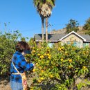 생규농장 이미지