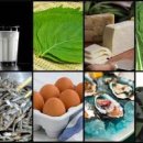 칼슘 하루권장량 칼슘이 많은 음식 종류별로 정리 이미지