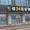 드림동물병원 이미지