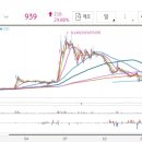 (주)피앤비 인터내셔널 이미지