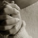 본애견미용실 이미지