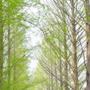 KT곡성지사 이미지