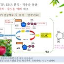 맞춤형 종합발효액비... 아미노산, 미네랄, 호르몬, 유기산, 당밀, 유효종합균 등 이미지