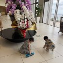 오리온호텔 이미지