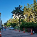 대천해수욕장 국민여가캠핑장(1지구) | 대천해수욕장 국민여가캠핑장 1지구